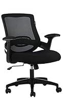 Algopix Similar Product 18 - Hbada Executive Office Chair Big and