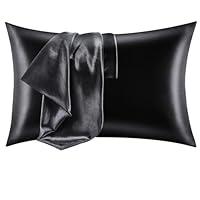 Algopix Similar Product 13 - CozyLux Silk Satin Pillowcase for Hair