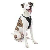Algopix Similar Product 12 - Kurgo TruFit Enhanced Strength Dog