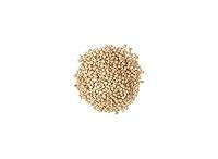 Algopix Similar Product 15 - Torrified Wheat - 5 lb Bag