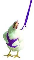 Algopix Similar Product 18 - Valhoma Chicken Harness Hen Size 