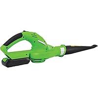 Algopix Similar Product 19 - SERENELIFE PSLHTM32 Electric Leaf