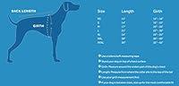 Algopix Similar Product 20 - RC Pet Products Price Incorrect Cartoon