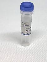 Algopix Similar Product 9 - CD79b Recombinant Antibody Mouse Fc