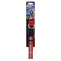 Algopix Similar Product 1 - Nite Ize NND2L10R3 Nite Dawg LED