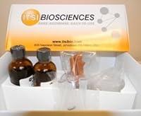 Algopix Similar Product 7 - Bradford Protein Assay Kit ToPA20