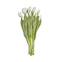 Algopix Similar Product 2 - Whole Foods Market Tulips 10 Stem Red