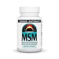 Algopix Similar Product 2 - Source Naturals MSM
