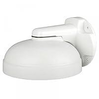 Algopix Similar Product 5 - Digital Watchdog DWCPZWM Wall Mount