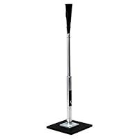 Algopix Similar Product 19 - Champion Sports Steel and Aluminum Stem