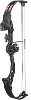 Algopix Similar Product 11 - Bear Archery Brave Bow Set for Youth