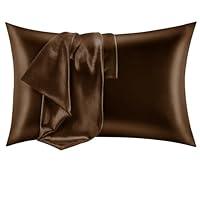 Algopix Similar Product 5 - CozyLux Satin Pillowcase for Hair and