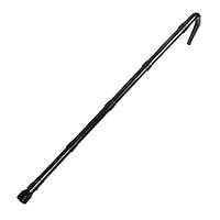 Algopix Similar Product 4 - Sun Joe SBJ6GA Gutter Cleaning Blower