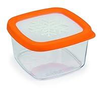 Algopix Similar Product 16 - Snips Savers Aroma Keeper 1 Liter
