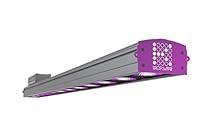Algopix Similar Product 17 - Kind LED XC150 150w 4Foot Indoor LED