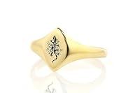 Algopix Similar Product 2 - 14k Gold Lizard Signet Ring  Animal