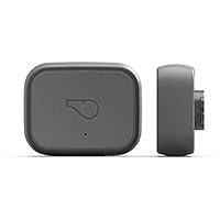 Algopix Similar Product 2 - Whistle 3  GPS Pet Tracker  Activity