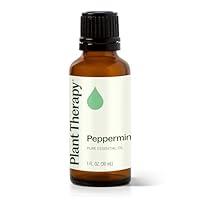 Algopix Similar Product 4 - Plant Therapy Peppermint Essential Oil