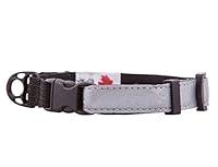 Algopix Similar Product 12 - RC Pet Products 12Inch Wide Kitty