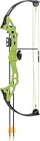 Algopix Similar Product 10 - Bear Archery Brave Bow Set for Youth