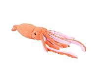 Algopix Similar Product 9 - Wild Republic Squid Foilkins Junior