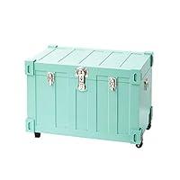 Algopix Similar Product 7 - DormCo Bolt Trunks - Mint Footlocker