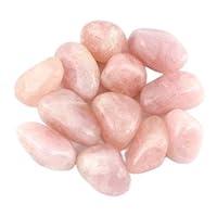 Algopix Similar Product 16 - Crystal Allies Materials 1lb Bulk