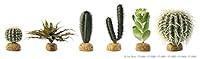 Algopix Similar Product 2 - Exo Terra Star Cactus Terrarium Plant