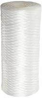 Algopix Similar Product 19 - Pentair Pentek WPX25BB97P Big Blue