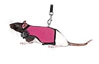Algopix Similar Product 15 - TRIXIE Small Animal Harness with Bungee
