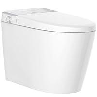 Algopix Similar Product 8 - LEIVI Smart Toilet with Builtin Bidet