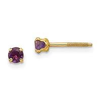 Algopix Similar Product 15 - 14k Madi K 3mm Amethyst Earrings