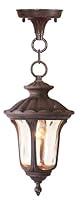 Algopix Similar Product 1 - Livex Lighting 766858 Oxford 1 Light