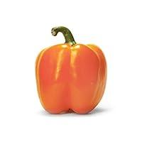 Algopix Similar Product 9 - Orange Pepper Bell