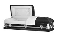 Algopix Similar Product 20 - Titan Casket  Orion White Steel Casket