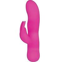 Algopix Similar Product 15 - Sugar Bunny
