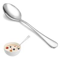 Algopix Similar Product 12 - Dinner Spoon Set16 Pcs 73