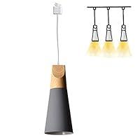 Algopix Similar Product 2 - HType Track Mount Light Modern Wood