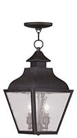 Algopix Similar Product 13 - Livex Lighting 245307 Vernon 2Light