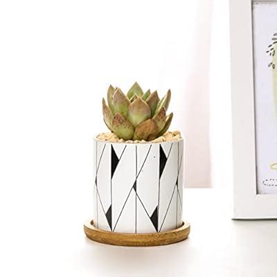 Utopia Home - Plant Pots Indoor with Drainage - 7/6.6/6/5.3/4.8 Inches Home  Deco