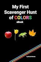 Algopix Similar Product 5 - My First Scavenger Hunt of Colors Book