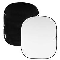 Algopix Similar Product 14 - Lastolite by Manfrotto LL LC5621 Plain