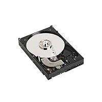 Algopix Similar Product 16 - DELL  1TB 7200RPM 35 SATA II HDD 