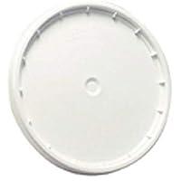 Algopix Similar Product 4 - LEAKTITE 6GLD 5 Gallon lon White