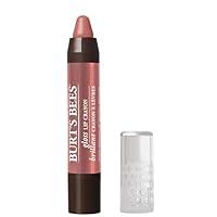 Algopix Similar Product 7 - Burts Bees 100 Natural Moisturizing