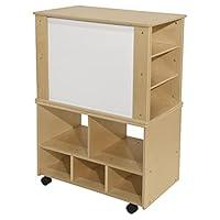 Algopix Similar Product 17 - Contender Magnetic Teaching Organizer