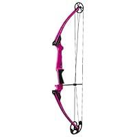 Algopix Similar Product 13 - Genesis Archery Original Bow Right