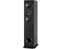 Algopix Similar Product 5 - MTX MONITOR600I Dual 65 2Way Monitor