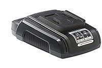 Algopix Similar Product 18 - Rothenberger 15811 Type C Charger for