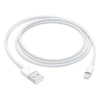 Algopix Similar Product 20 - Apple Lightning to USB Cable (1 m)